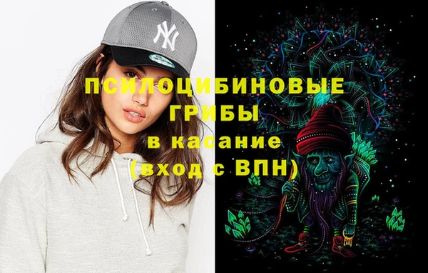 гашик Алзамай
