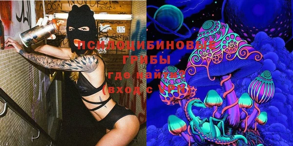 шишки Алексин