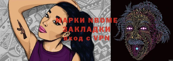 шишки Алексин