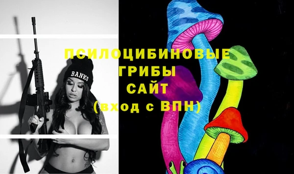 гашик Алзамай