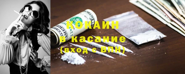 шишки Алексин